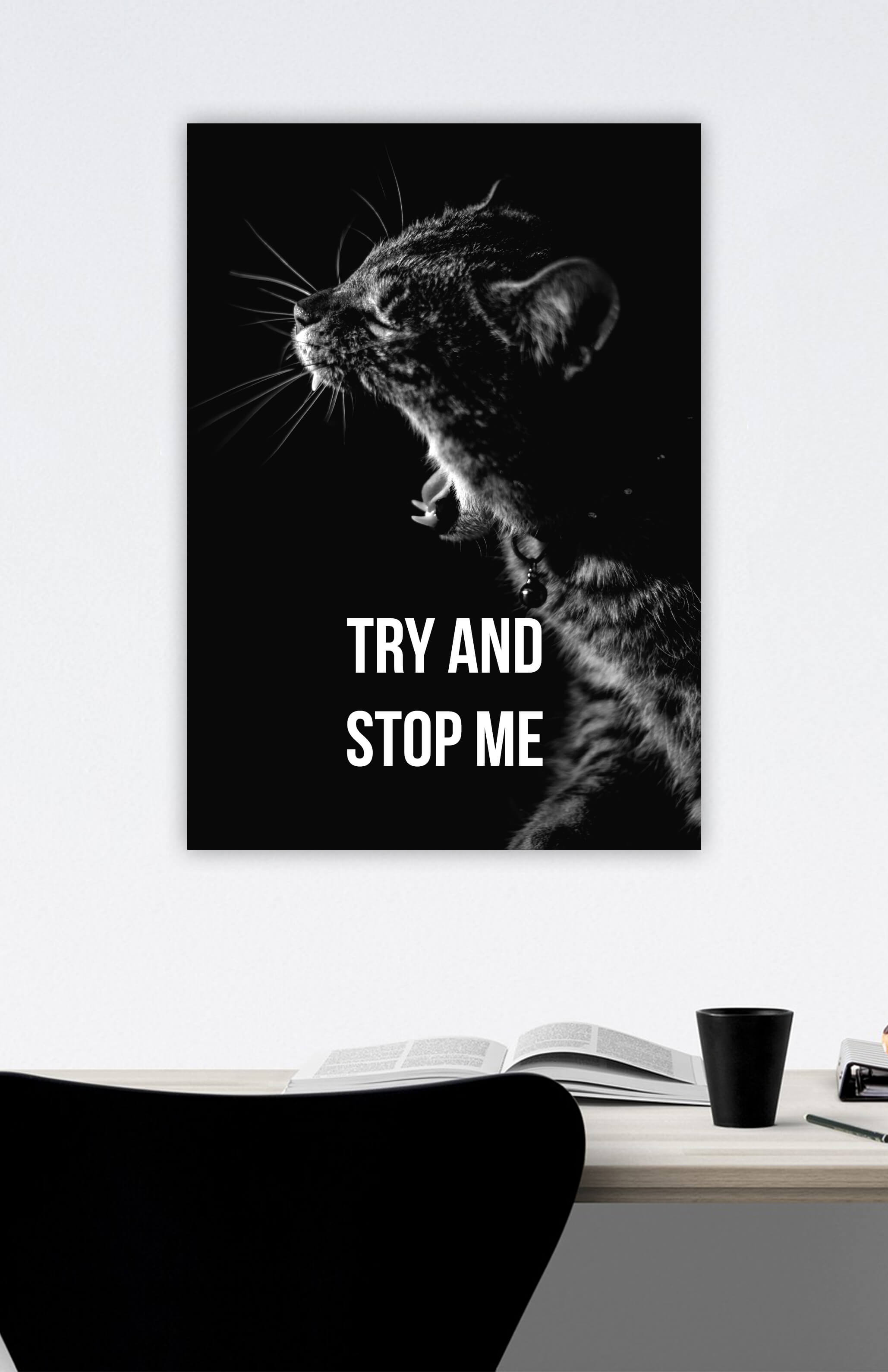 V3 Apparel womens Try and Stop Me, Motivational posters, mens inspirational wall artwork and empowering poster quote designs for office, home gym, school, kitchen and living room.