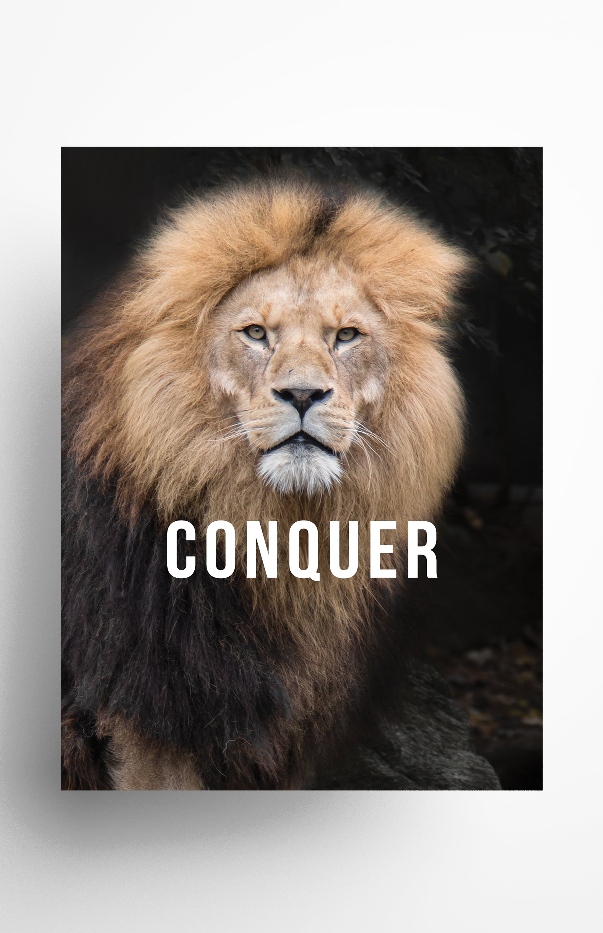 V3 Apparel womens Conquer, Motivational posters, mens inspirational wall artwork and empowering poster quote designs for office, home gym, school, kitchen and living room.